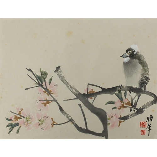 588a - Set of eight Chinese watercolours and one other, depicting flowers and birds, each with script and r... 