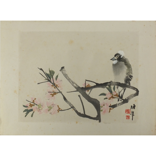 588a - Set of eight Chinese watercolours and one other, depicting flowers and birds, each with script and r... 