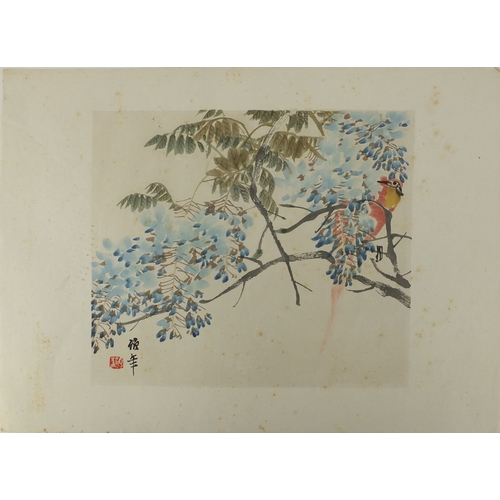 588a - Set of eight Chinese watercolours and one other, depicting flowers and birds, each with script and r... 