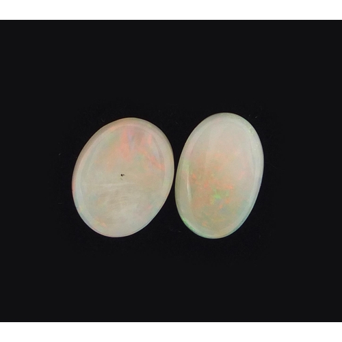 3087 - Two cabochon opals, each approximately 1.3cm in length