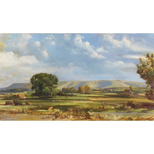 2539 - Norman Dinnage - Firle Beacon, oil on canvas, mounted and framed, 80cm x 46cm