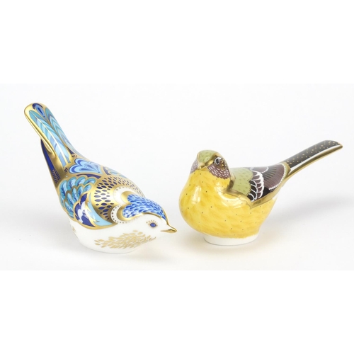 2515 - Two Royal Crown Derby bird paperweights comprising yellow wagtail and mountain bluebird, the largest... 