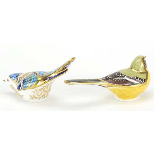 2515 - Two Royal Crown Derby bird paperweights comprising yellow wagtail and mountain bluebird, the largest... 