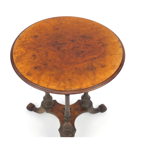 2078 - Circular burr walnut occasional table, raised on three turned tapering legs, trefoil platform and sc... 