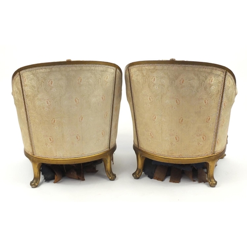 2096 - Pair of French gilt wood tub chairs, with scroll arms, shell carved knees and floral upholstery, 81c... 