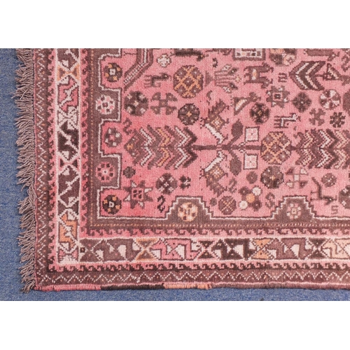 2149 - Rectangular Persian Shiraz salmon ground rug, decpicting with camels and birds, 195cm x 164cm