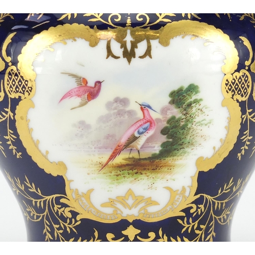 2144 - Coalport potpourri vase and cover, hand painted with panels of birds and flowers, within gilt foliat... 