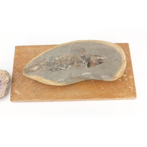 529 - Antique fossilised fish and amethyst specimen