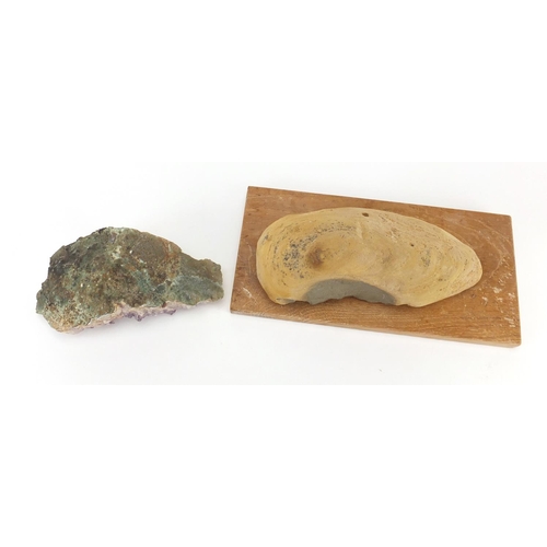 529 - Antique fossilised fish and amethyst specimen