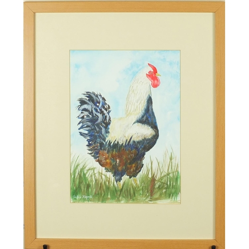 114 - Jackie Steggall - Portrait of a cockerel, watercolour, mounted and framed, 34cm x 24cm