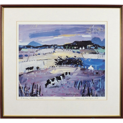 2187 - Hamish Macdonald - Evening, Wester Ross, pencil signed print, limited edition 125/600, mounted and f... 
