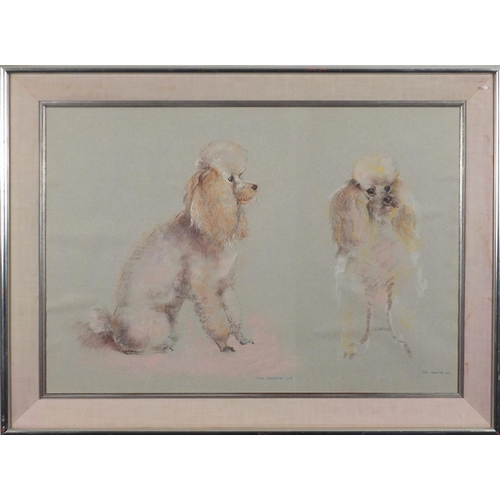 2121 - John Skeaping 1977 - Two poodles, pastel, mounted and framed, 65.5cm x 45cm