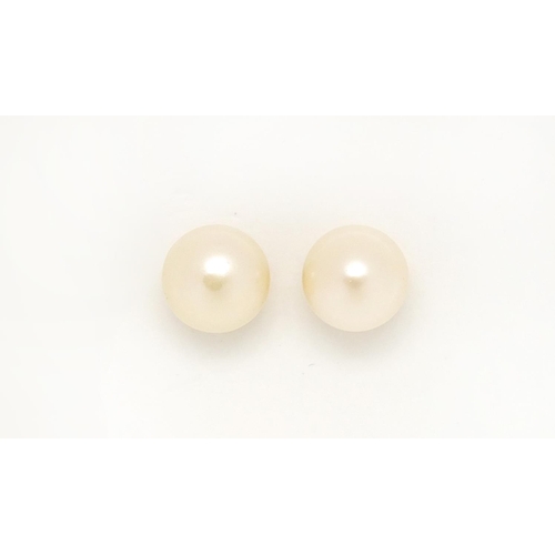 2445 - Pair 9ct gold pearl stud earrings, approximate weight 1.4g