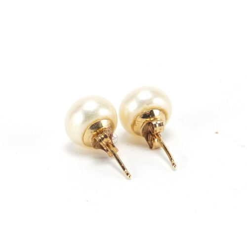 2445 - Pair 9ct gold pearl stud earrings, approximate weight 1.4g