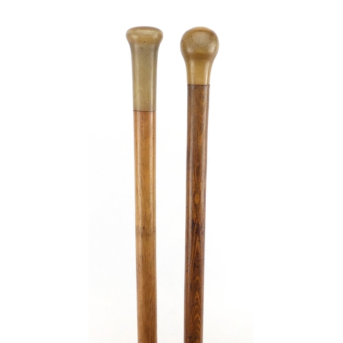 96 - Two walking sticks with horn pommels, possibly rhinoceros horn, 89cm in length