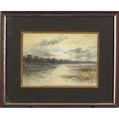 838 - Fanny Maxwell Lyte - Birds over a lake, watercolour, mounted and framed, 17cm x 12cm