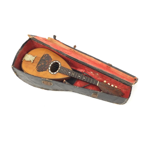 52 - 19th century rosewood mandolin by G Grandini with ivory keys and fitted case, 61cm in length