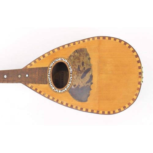 53 - 19th century Italian inlaid mandolin by D Brambilla, with paper label and case, 61cm in length