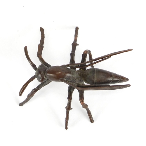 296 - Japanese patinated bronze wasp, 5cm in length