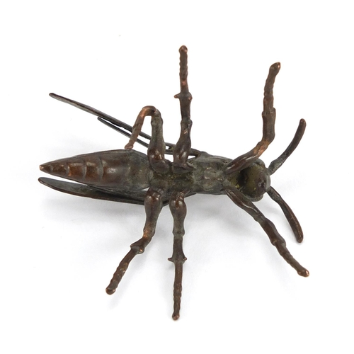 296 - Japanese patinated bronze wasp, 5cm in length