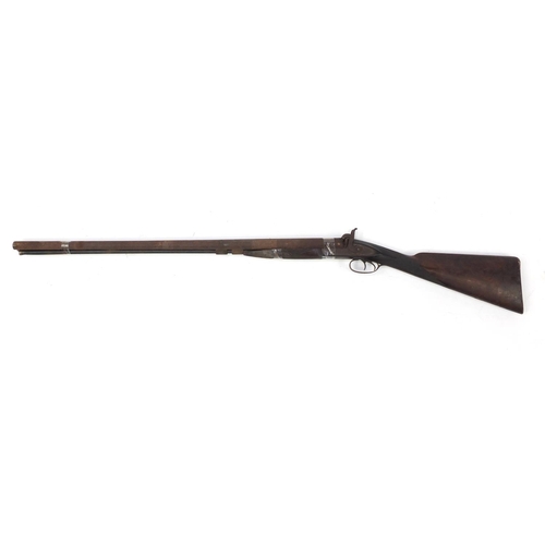 171 - 19th century percussion cap double barrel musket, the lock plate engraved Moore, 126cm in length