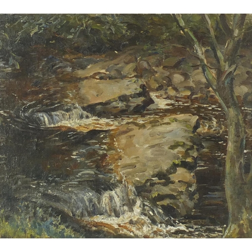 758 - Maurcie Codner - Horseshoe Falls, River Dart, oil on canvas board, inscribed verso, framed, 39cm x 3... 