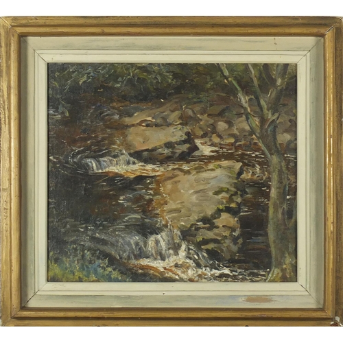 758 - Maurcie Codner - Horseshoe Falls, River Dart, oil on canvas board, inscribed verso, framed, 39cm x 3... 
