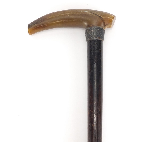 342 - Horn handled walking cane with unmarked silver collar, 86cm in length