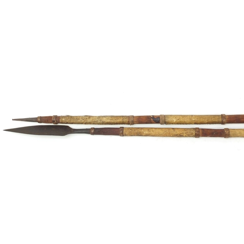 940 - Pair of Tribal spears with animal skin grips, 167cm in length