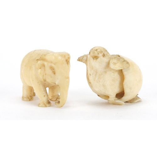 2498 - Two ivory carving including a Japanese hatching chick, the largest 4cm wide