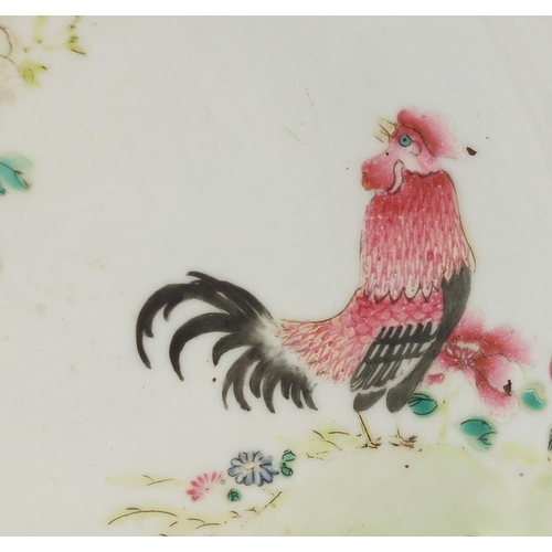 222 - Chinese porcelain red ground shallow dish, hand painted in the famille rose palette with a cockerel,... 