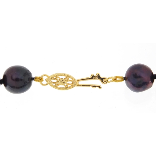 635 - Tahitian pearl necklace with 14ct gold clasp and a pair of silver gilt earrings, the necklace 44cm i... 