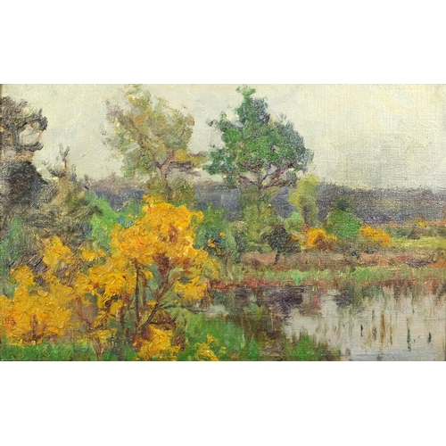 2370 - River landscape, oil on canvas, bearing an indistinct signature, framed, 40cm x 25cm