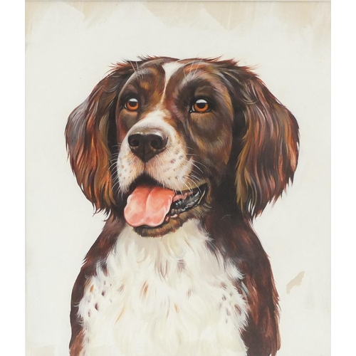 281 - Smiling spaniel with brown eyes, acrylic, mounted and framed, 26.5cm x 22.5cm