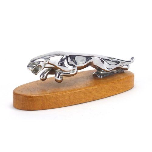 701 - Chrome Jaguar car mascot with wooden plinth base, 21cm in length