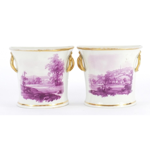 611 - Pair of early 19th century Davenport Bough pots of flared D shape with gilt ring handles, each hand ... 