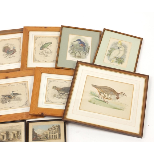 512 - Antique hand coloured engravings of birds, each mounted and framed, the largest 27cm x 22cm