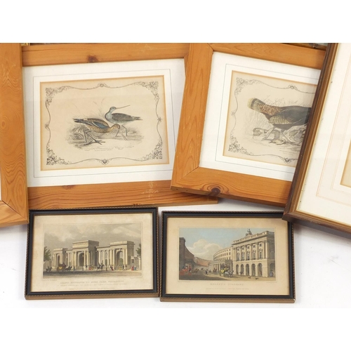 512 - Antique hand coloured engravings of birds, each mounted and framed, the largest 27cm x 22cm