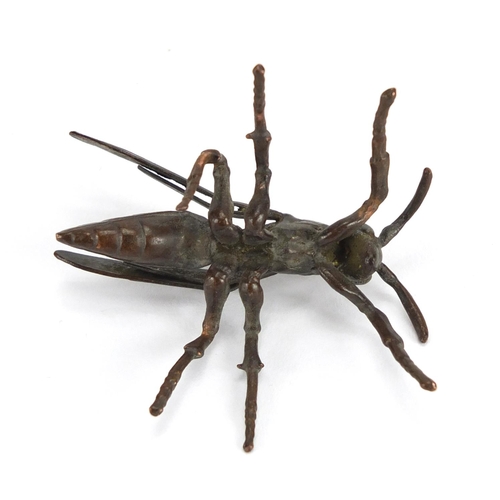 706 - Japanese patinated bronze wasp, 5cm in length