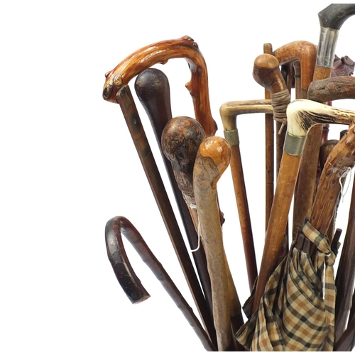 5 - Group of walking sticks, some naturalistic and some with horn handles, in a brass stick stand