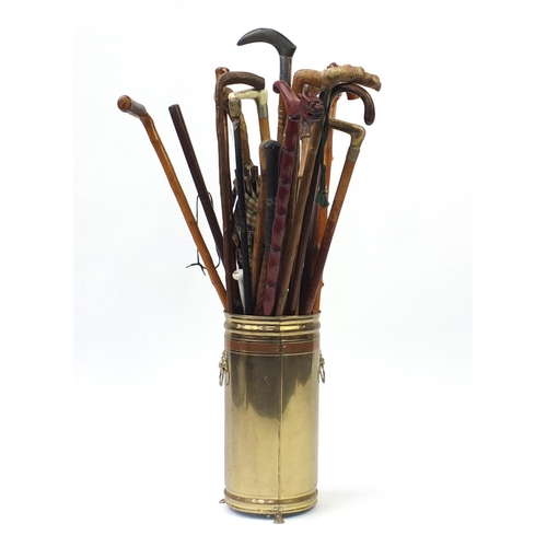 5 - Group of walking sticks, some naturalistic and some with horn handles, in a brass stick stand