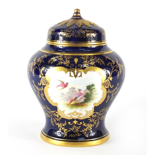 208 - Coalport potpourri vase and cover, hand painted with birds of paradise and flowers, 18cm high
