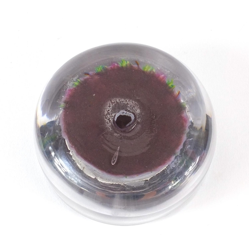 229 - Millefiori glass paperweight dish, 10cm in diameter