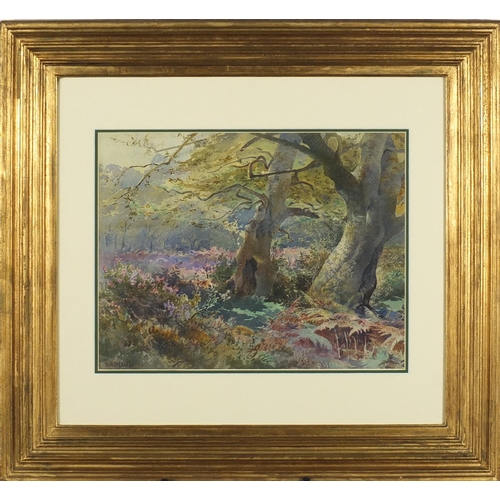 1256 - Henry Richard Beadon Donne - A study in the New Forest, England, watercolour, mounted and framed, 39... 