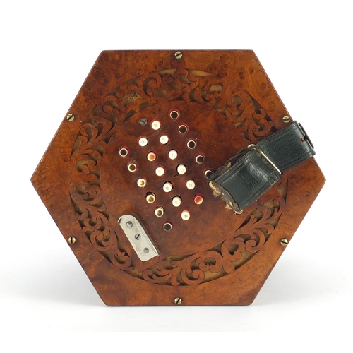 143 - Good mid 19th century burr yew forty eight button concertina by C Wheatstone of London with ivory ke... 