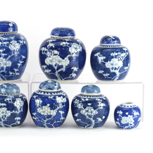 357 - Ten Chinese blue and white porcelain ginger jars eight with covers, each hand painted with prunus fl... 