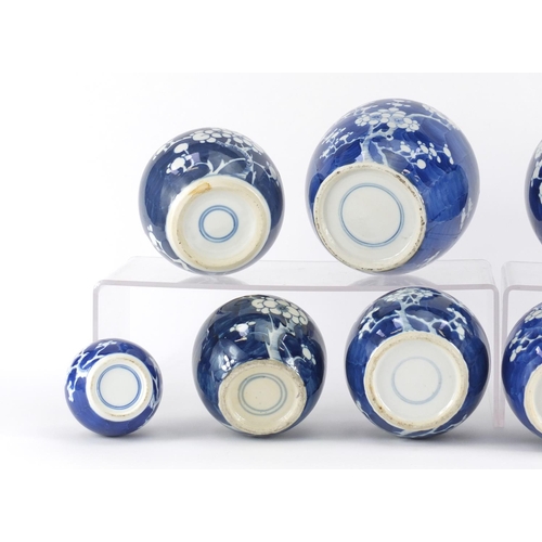 357 - Ten Chinese blue and white porcelain ginger jars eight with covers, each hand painted with prunus fl... 