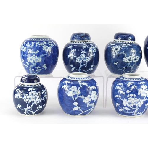 344 - Eight Chinese blue and white ginger jars, four with covers, each hand painted with prunus flowers an... 
