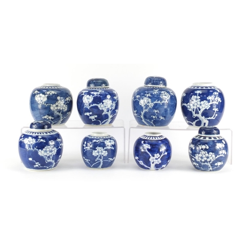 350 - Eight Chinese blue and white porcelain ginger jars, four with covers, each hand painted with prunus ... 