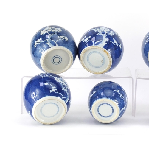 350 - Eight Chinese blue and white porcelain ginger jars, four with covers, each hand painted with prunus ... 